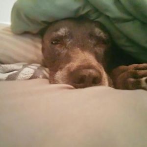 Meet your Posher, Mark